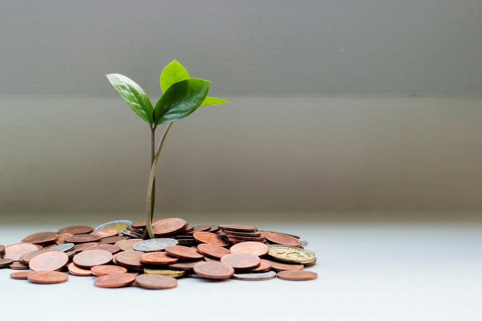 Investment growth